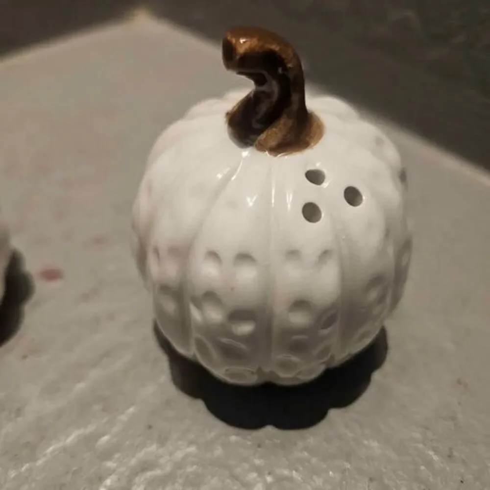 Hobby Lobby Ceramic Pumpkin and Gourd Salt and Pepper Shakers